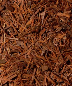 1kg x (Lapacho tea)