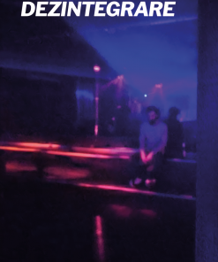 Florentin Popa - Dezintegrare